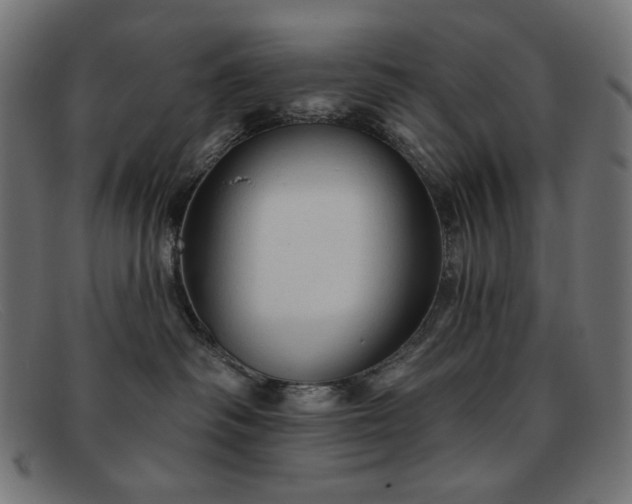 X0000091890334200709121444