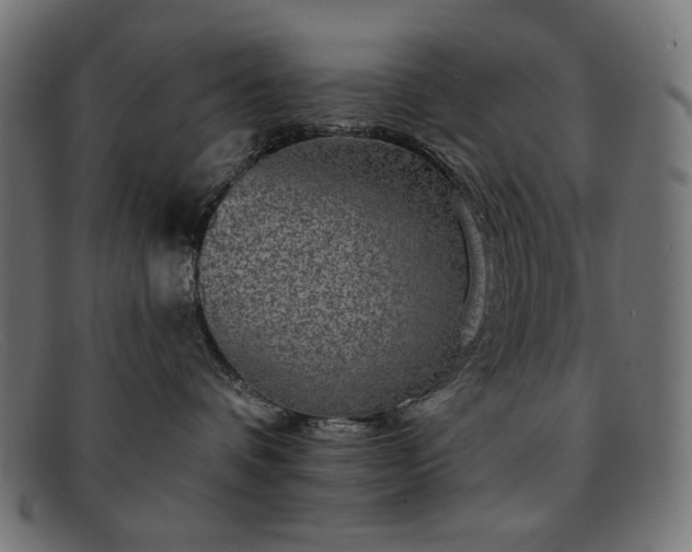 X0000091890336200709121444