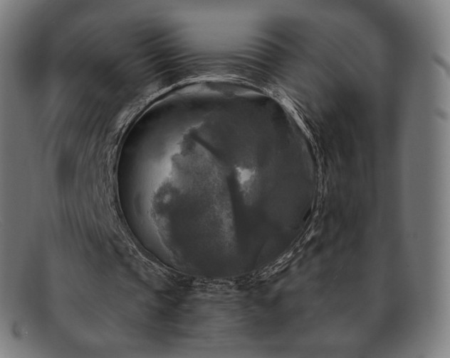 X0000091890337200709121444