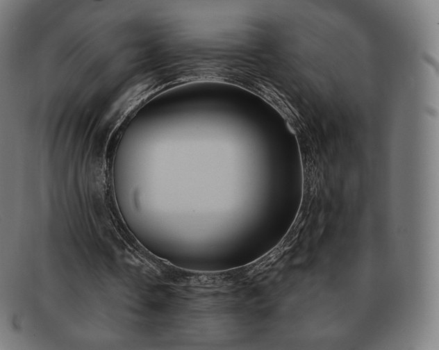 X0000091890338200709121444