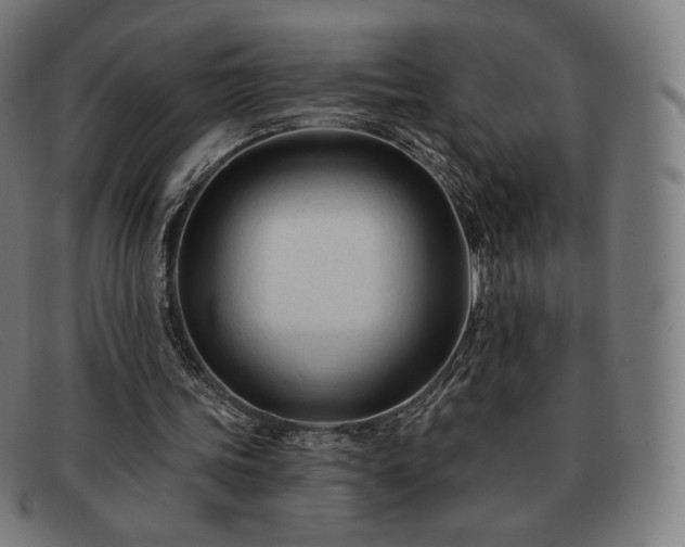 X0000091890339200709121444