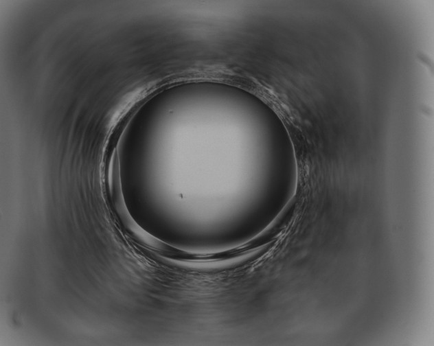 X0000091890340200709121444
