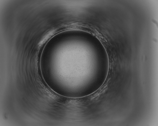 X0000091890341200709121444