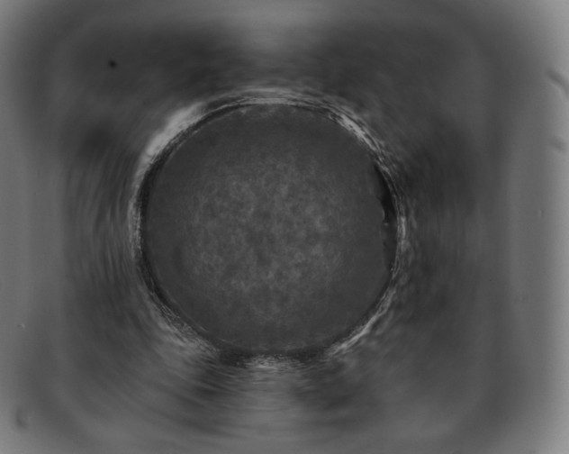 X0000091890343200709121444