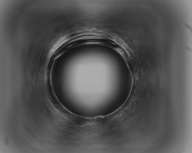 X0000091890344200709121444