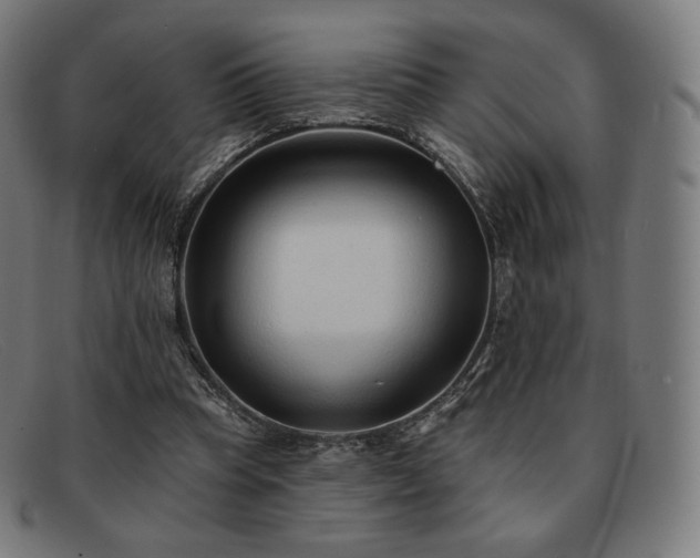 X0000091890345200709121444