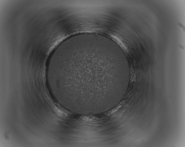 X0000091890346200709121444