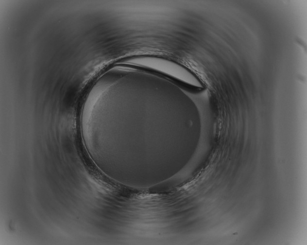 X0000091890348200709121444