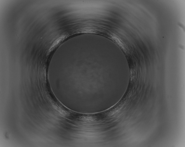 X0000091890349200709121444