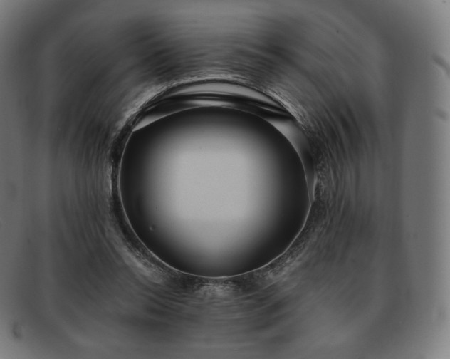 X0000091890350200709121444