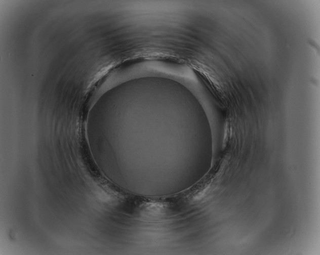 X0000091890352200709121444
