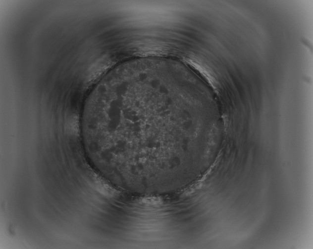 X0000091890353200709121444