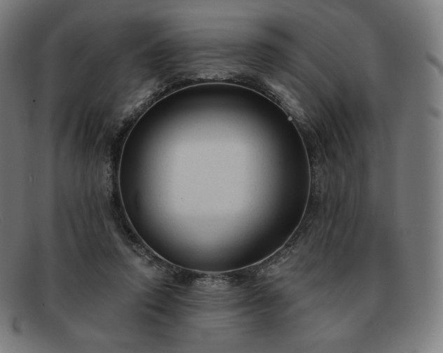 X0000091890354200709121444