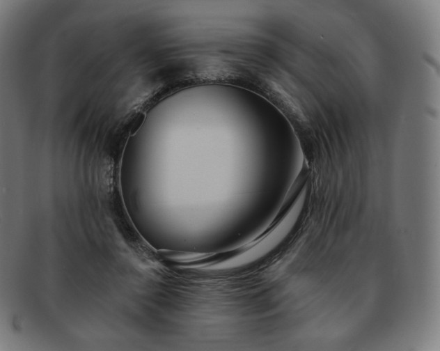 X0000091890356200709121444