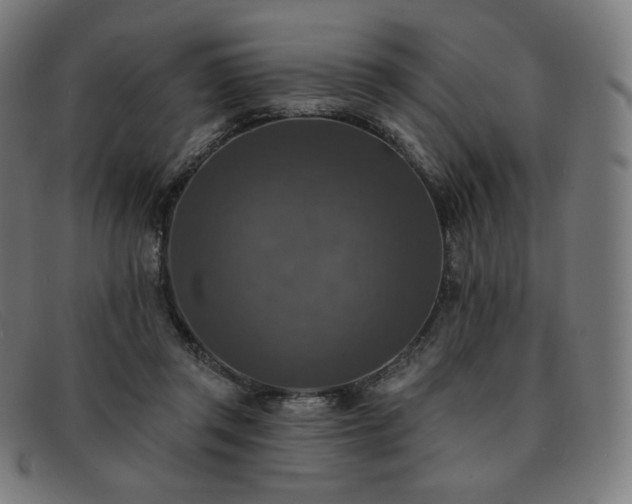 X0000091890357200709121444
