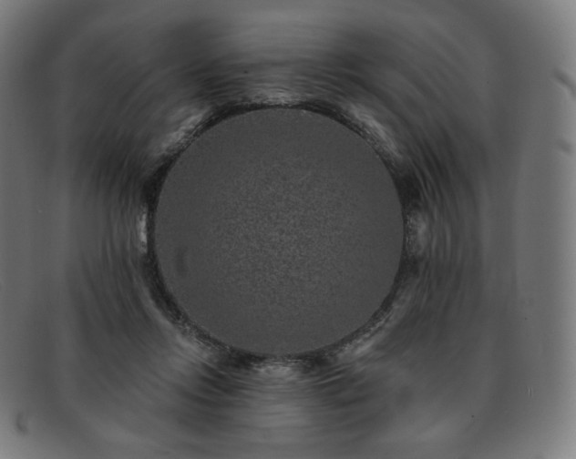 X0000091890358200709121444