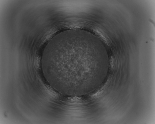 X0000091890359200709121444