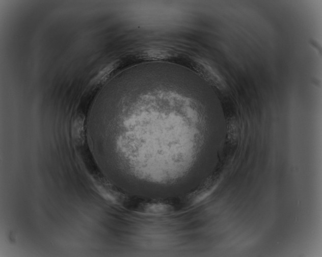 X0000091890360200709121444