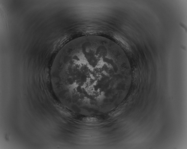 X0000091890361200709121444