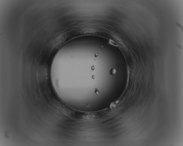 X0000091890362200709121444