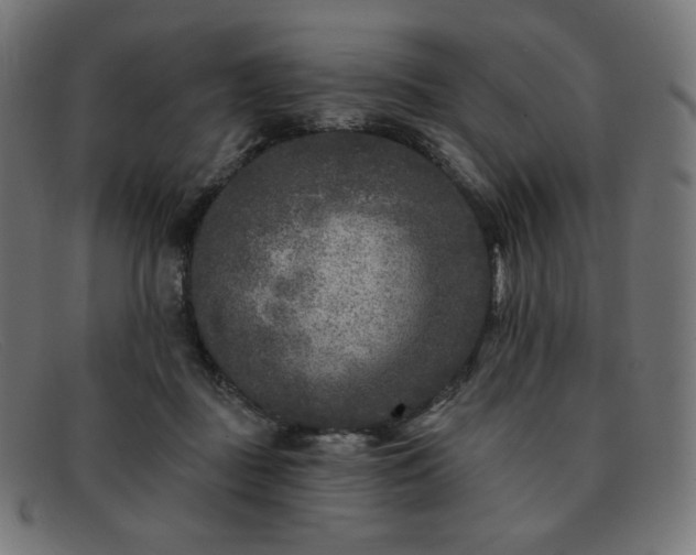 X0000091890363200709121444