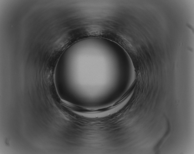 X0000091890364200709121444