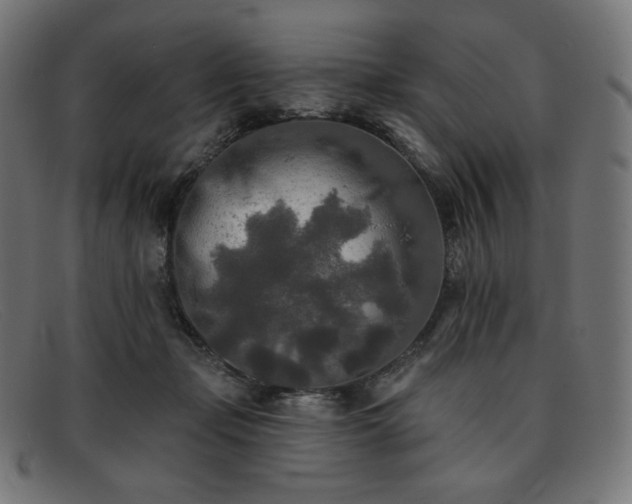 X0000091890365200709121444