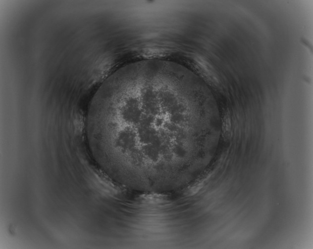 X0000091890367200709121444