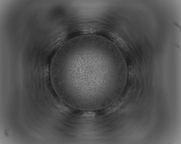 X0000091890369200709121444