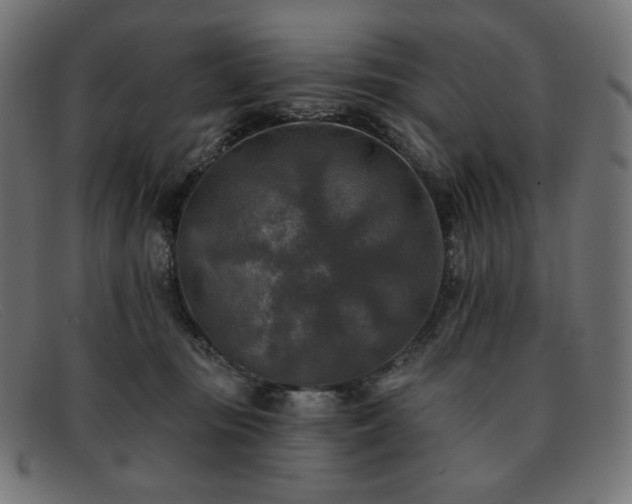 X0000091890371200709121444
