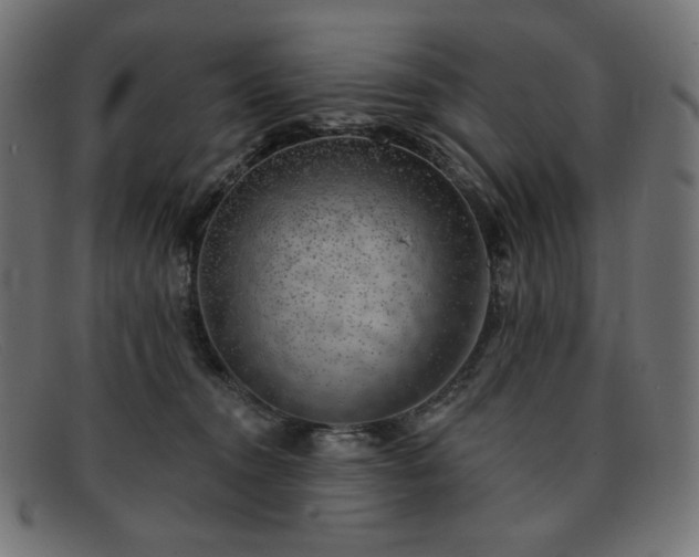 X0000091890372200709121444