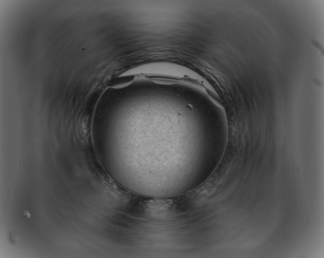 X0000091890373200709121444