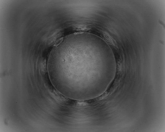 X0000091890376200709121444