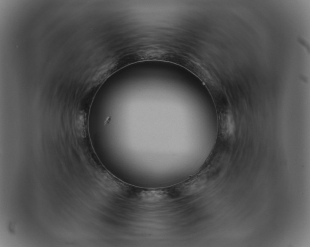 X0000091890378200709121444