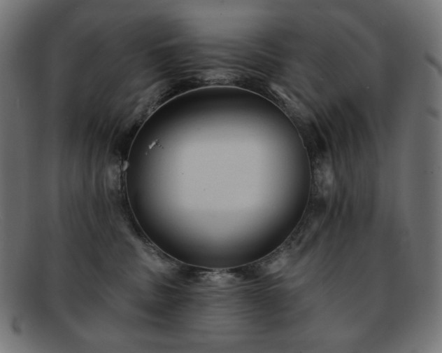 X0000091890379200709121444