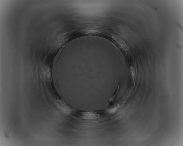 X0000091890380200709121444
