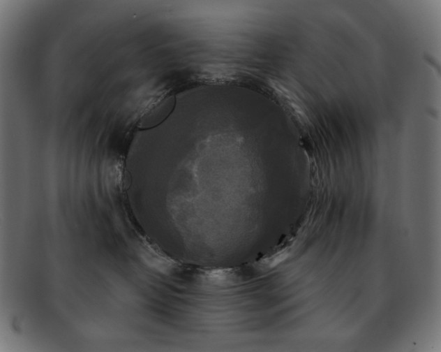 X0000091890382200709121444