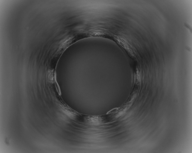 X0000091890383200709121444