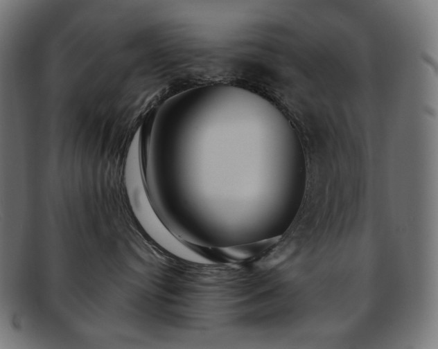 X0000091890384200709121444