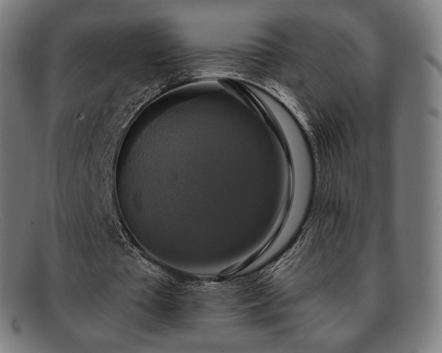 X0000091890385200709121444