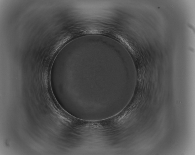 X0000091890386200709121444