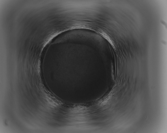 X0000091890387200709121444
