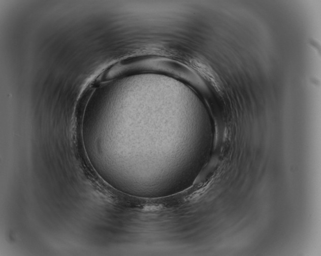 X0000091890388200709121444
