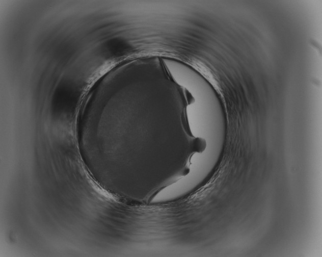 X0000091890389200709121444