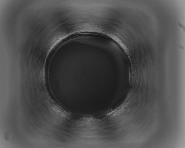 X0000091890391200709121444