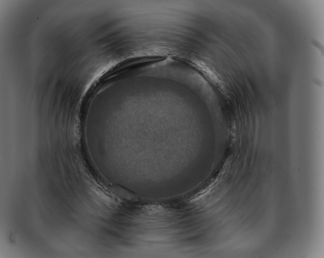 X0000091890392200709121444