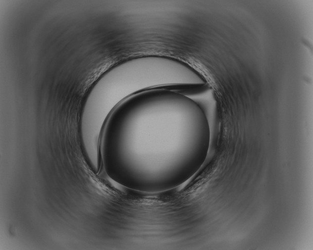 X0000091890393200709121444