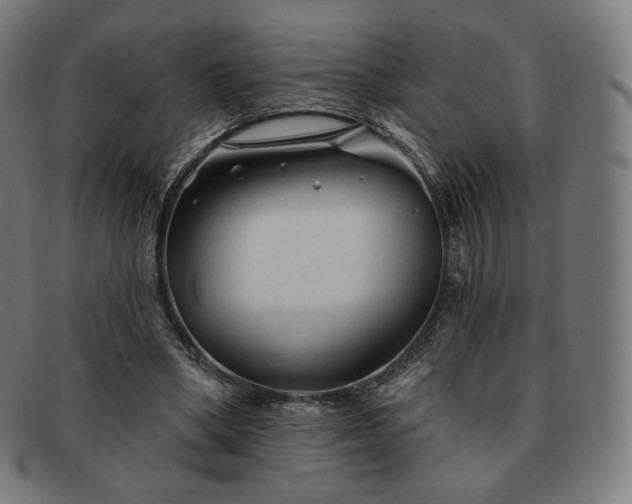 X0000091890394200709121444