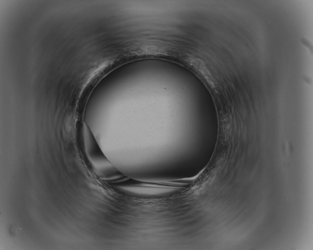 X0000091890395200709121444
