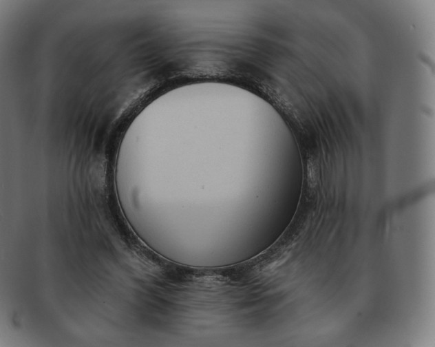 X0000091890396200709121444